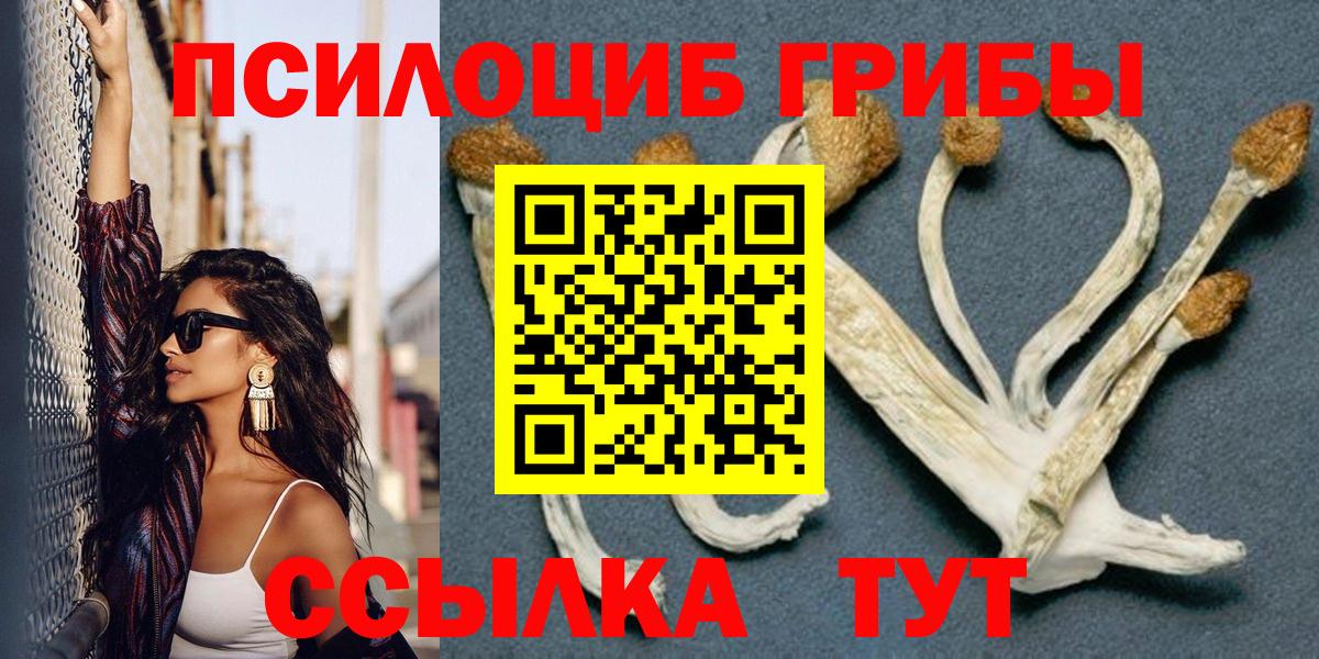 Псилоцибиновые грибы MAGIC MUSHROOMS  Вход с VPN  Галлюциногенные грибы GOLDEN TEACHER  Саяногорск 